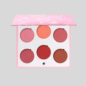 OFRA Cosmetics mini mix face palette- charm your cheeks